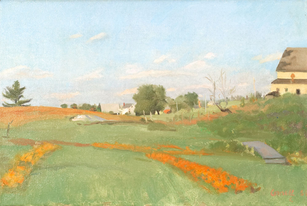 Country Flower Gardens