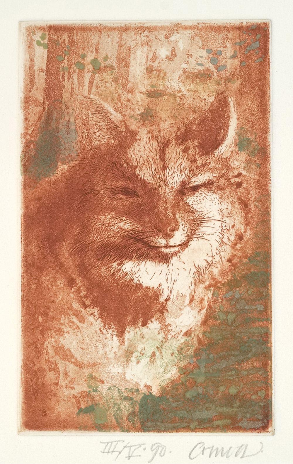 Fox, from Voiceprints